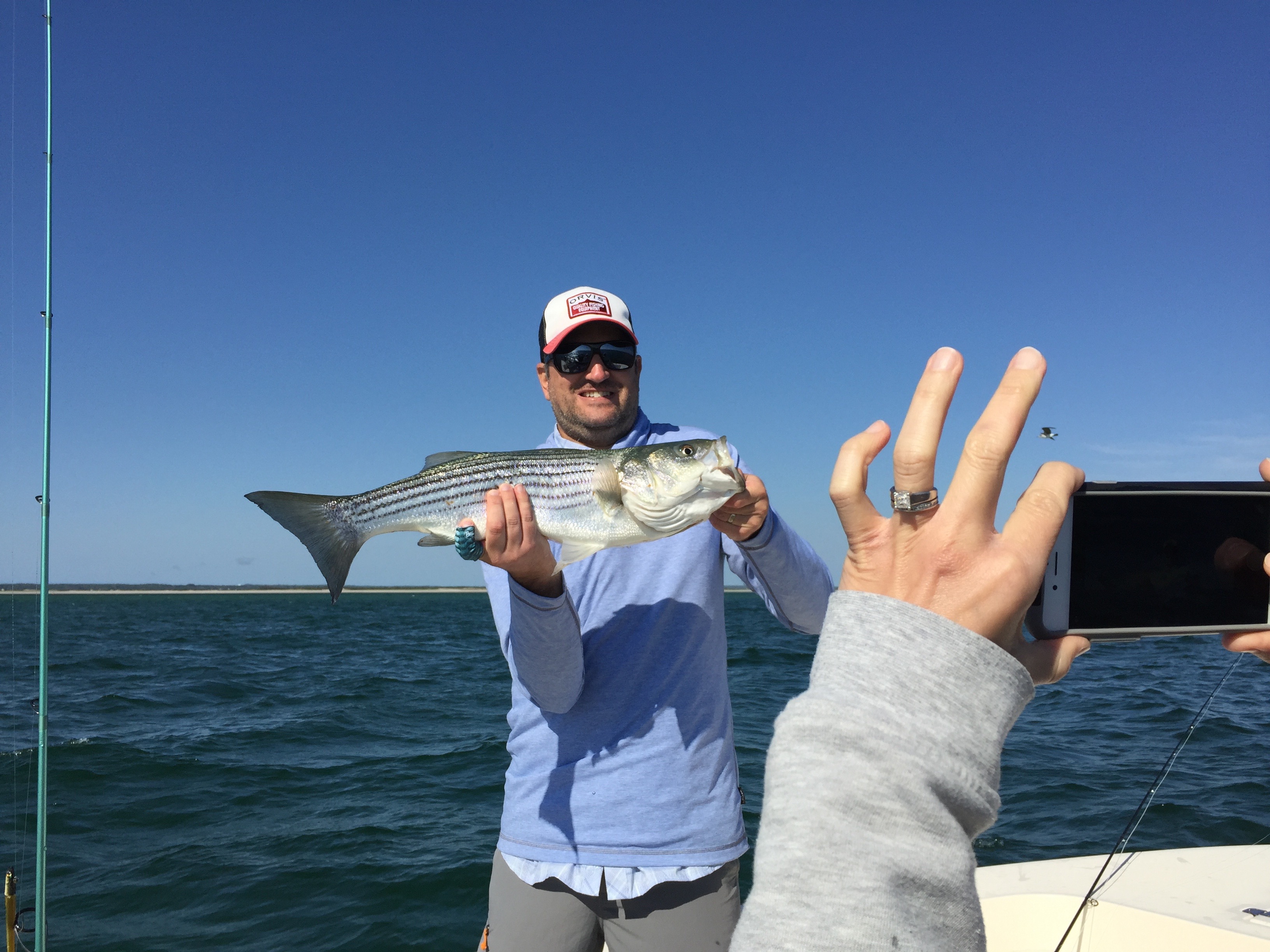 Reports & Blogs from Salty Fly Cape Cod