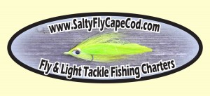 Salty-Fly-Logo