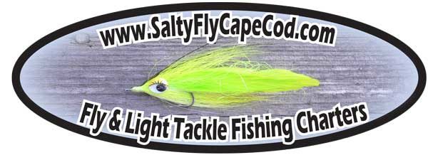 Salty Fly Cape Cod Logo of a smiling fishing fly