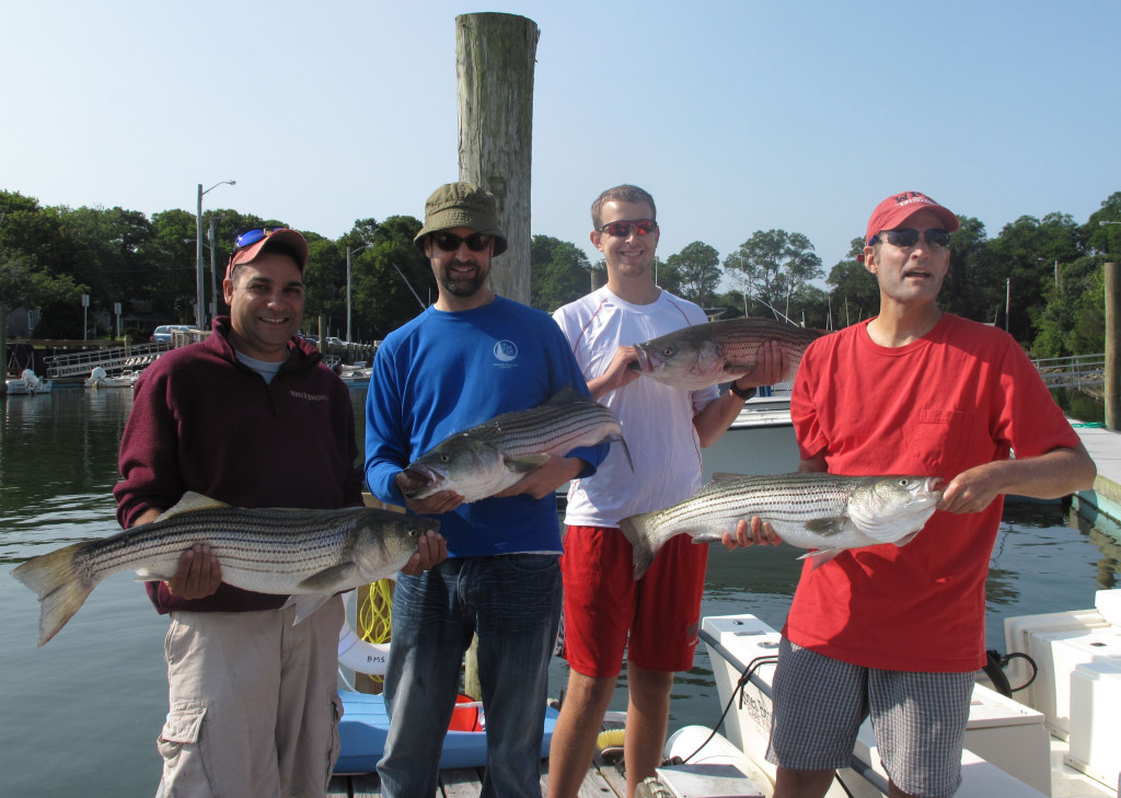 Barnstable Harbor Fly Fishing Charters with 4 people holidng their catch of striped bass 