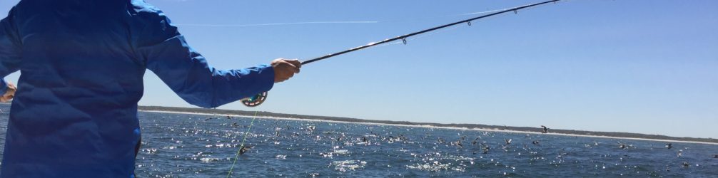 Book Your Trip Over the shoulder picture of man casting a fly rod