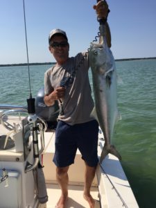 John's Big Bluefish