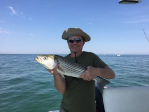 Mackeral Striper