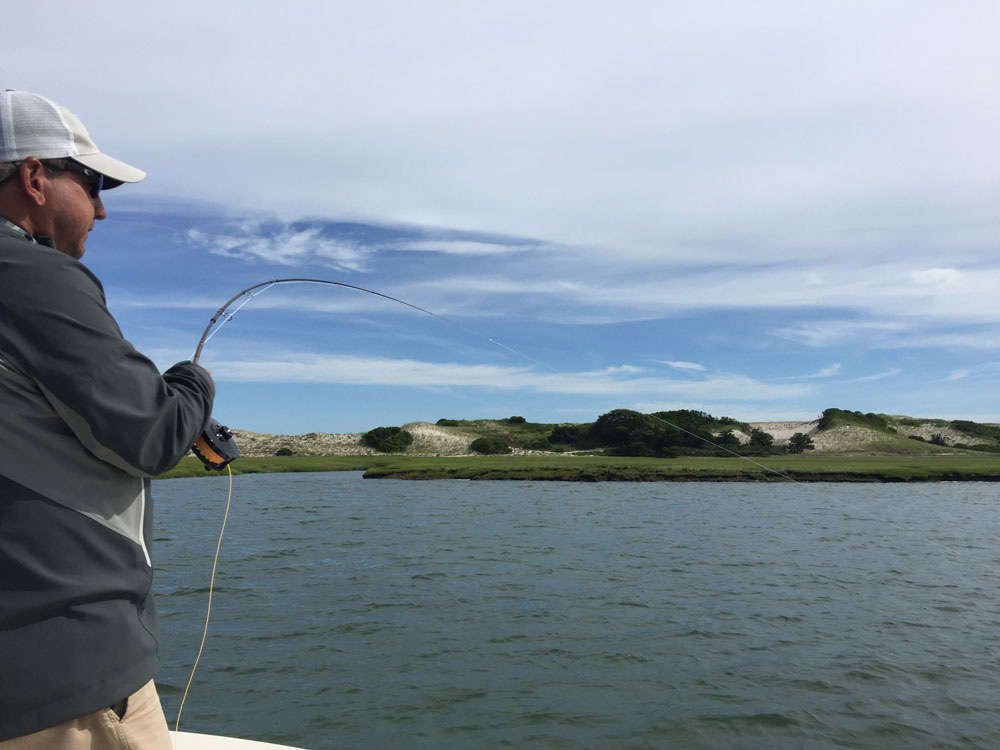 Cape Cod Fly Fishing