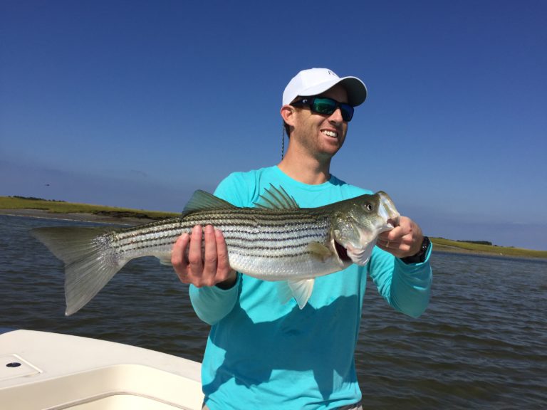 September Striper Blitz