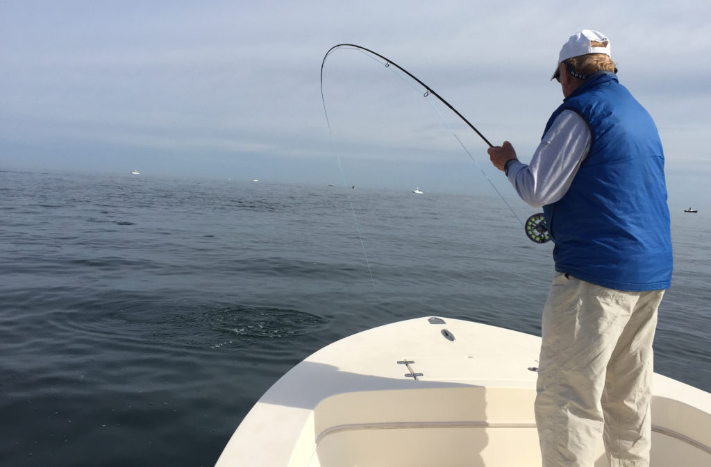Cape Cod Fly Fishing Salty Fly Cape Cod
