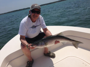 Person holding striped bass caught on a fly