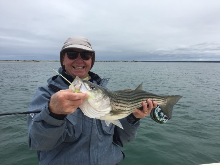 Chartreuse and White Clouser Fly in Striper's Mouth