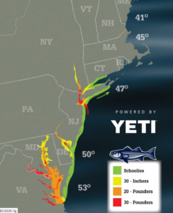 the stripers are coming On The Water Magazine Striped Bass Migration Map