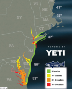 On The Water Magazine Striped Bass Migration Map