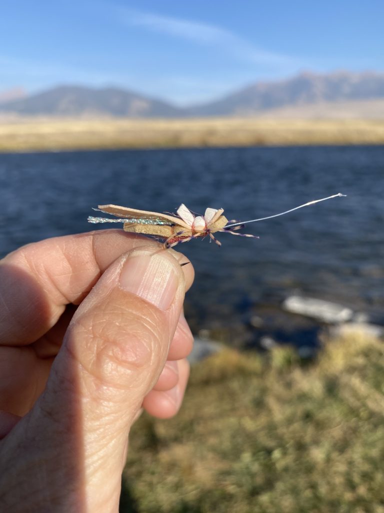 Montana Dry Fly