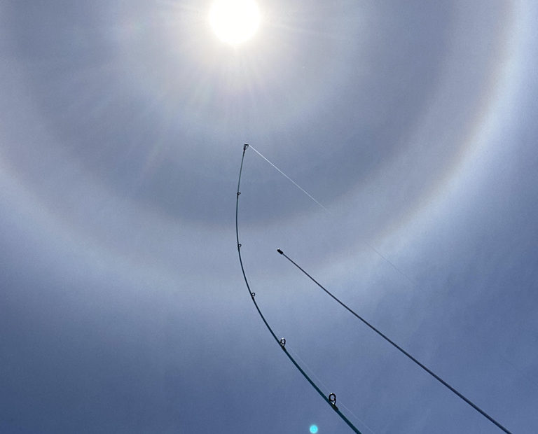 picture of the sky with rings around the sun