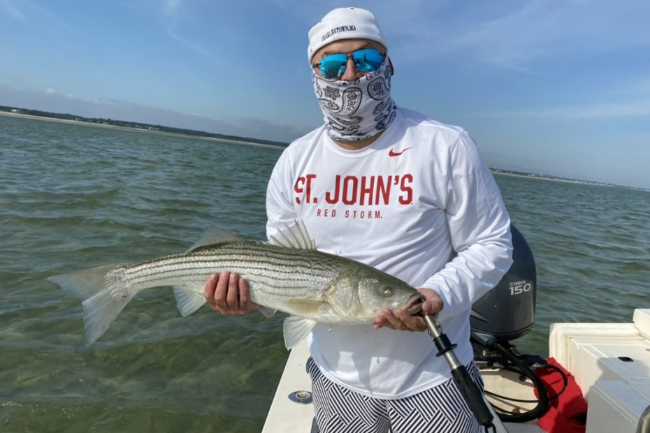 Fisherman with hat, sunglasses, buff sun protection, and a nice striped bass, The fish are around the corner