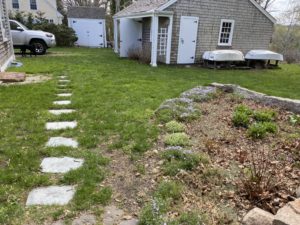 Backyard with early spring vegetation