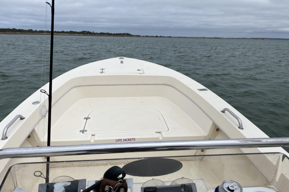 Boat in fish caught picture of captain's view of the Jones Brothers Light Tackle Edition