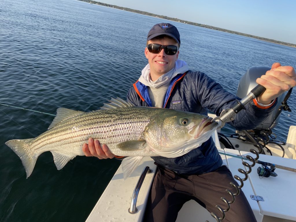 Epic fishing day... man holds striped bass caught with a spinning reel!
