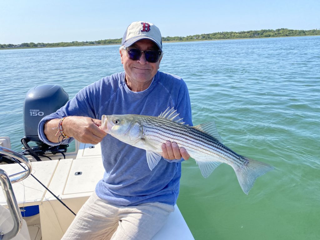 Man with Boston Red Sox hat holding a striped bass... How to Catch a Striped Bass