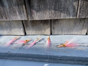 Pink Squid imitation fishing flies for Barnstable Harbor Fly Fishing