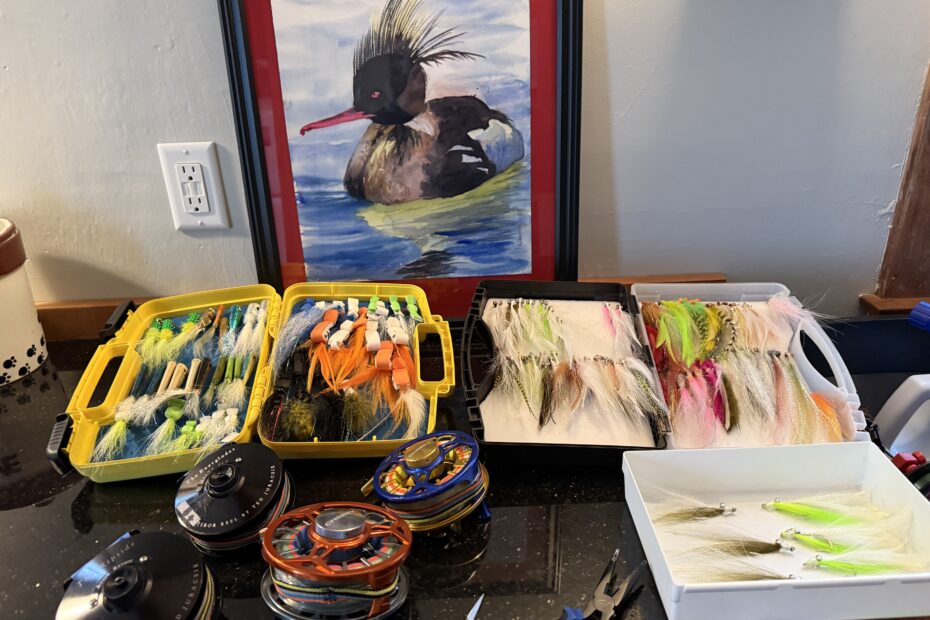 lots of fishing flies and fly reels ready to go in preparation for another season