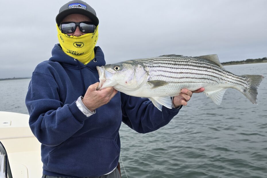 Capt Avery with cap, sunglasses, and yellow buff covering her face holding a striped bas