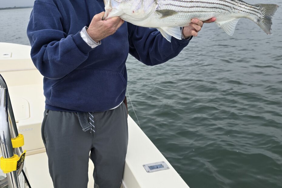 And we are off... Capt. Avery holding a striped bass