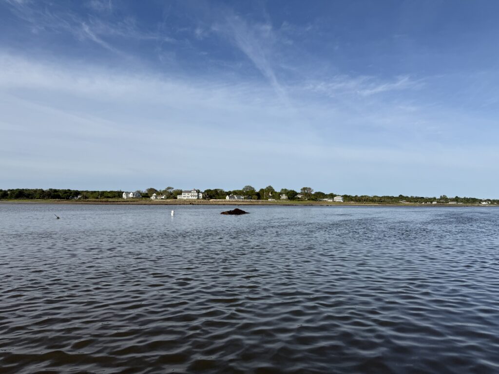Morning comes early, and so do the low tides. Channel Rock 2 or more feet out of the water